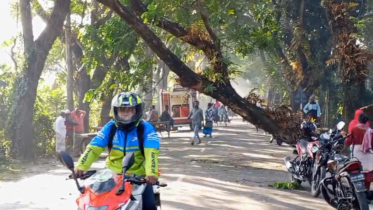 সাড়ে ৩ ঘণ্টা পর ঢাকা-বরিশাল মহাসড়কে যানচলাচল স্বাভাবিক